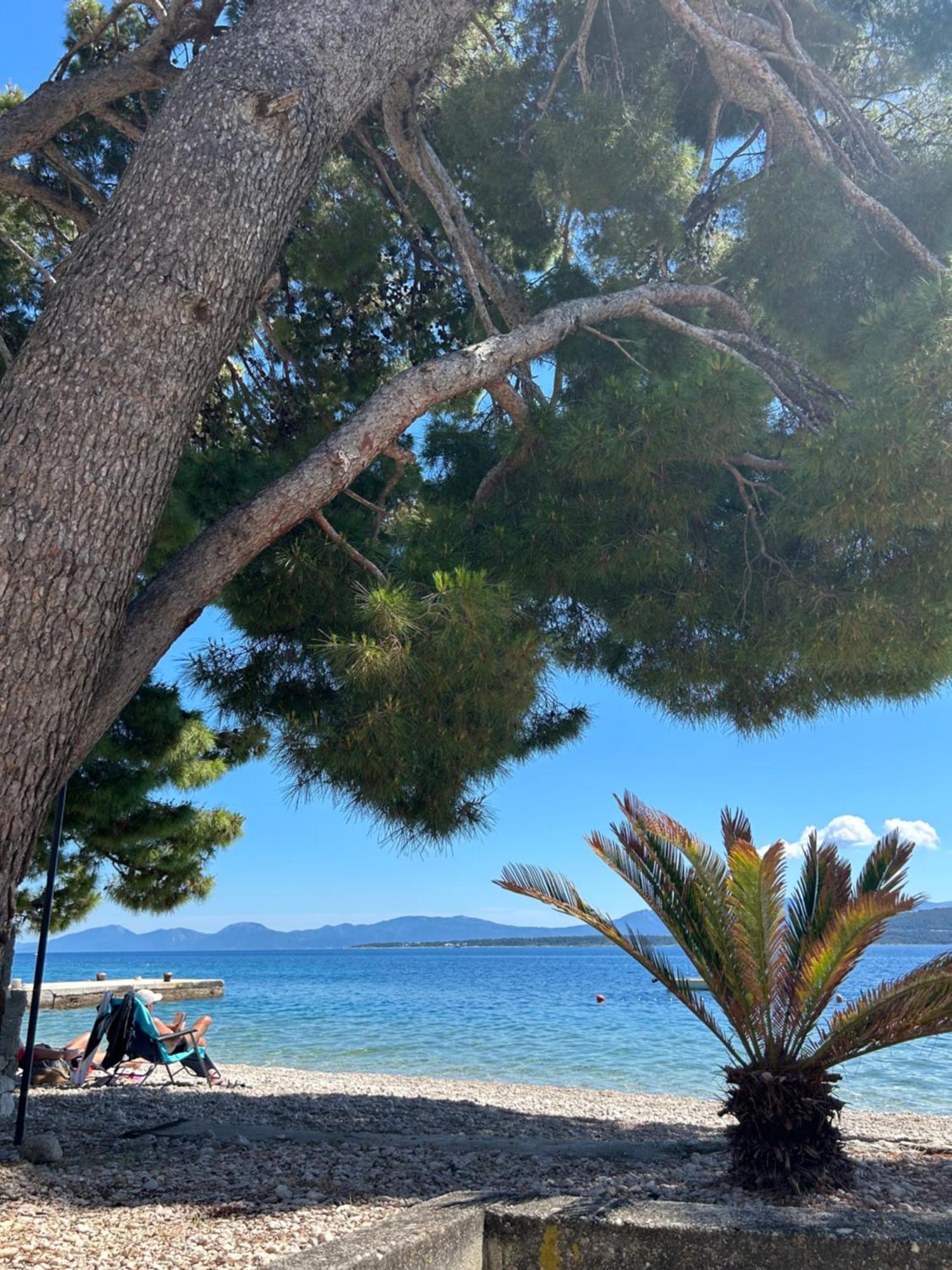 Hotel Sobe Gorana Živogošće Esterno foto